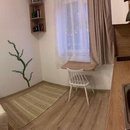 Mimosa Studio Cluj-Napoca Ngoại thất bức ảnh