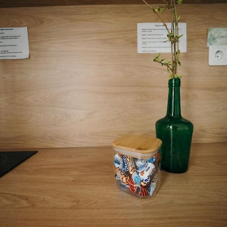 Mimosa Studio Cluj-Napoca Ngoại thất bức ảnh