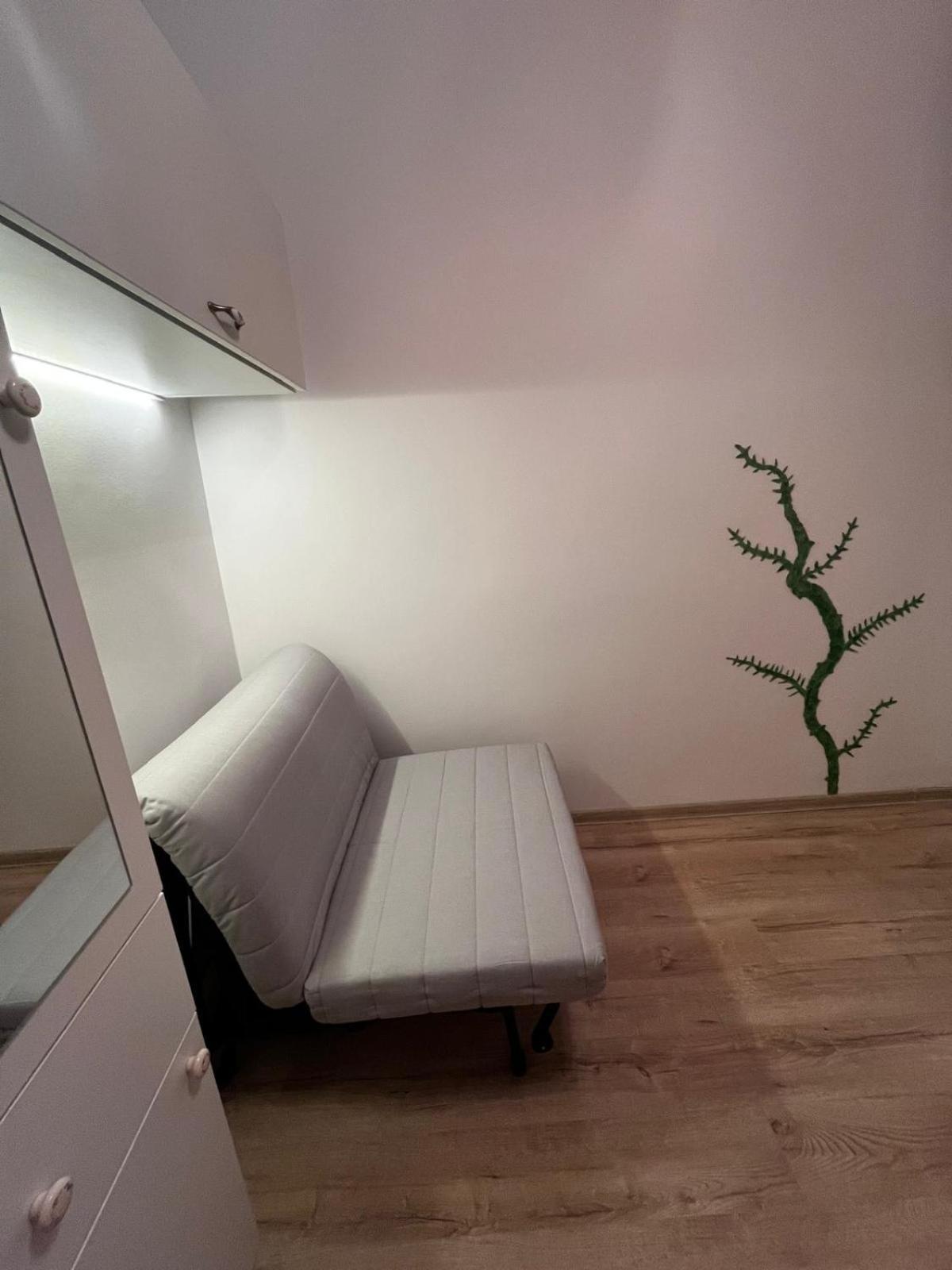 Mimosa Studio Cluj-Napoca Ngoại thất bức ảnh