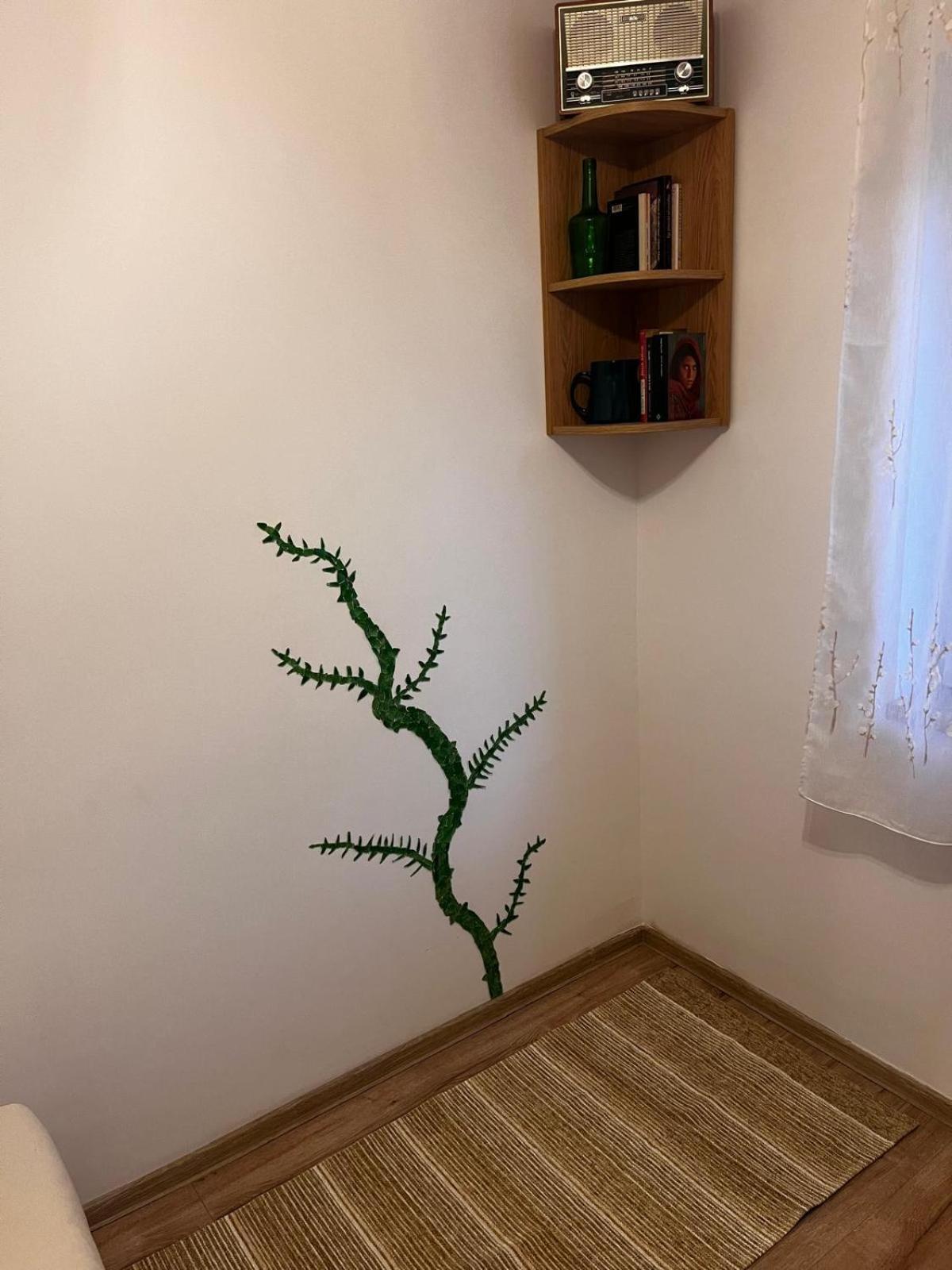 Mimosa Studio Cluj-Napoca Ngoại thất bức ảnh