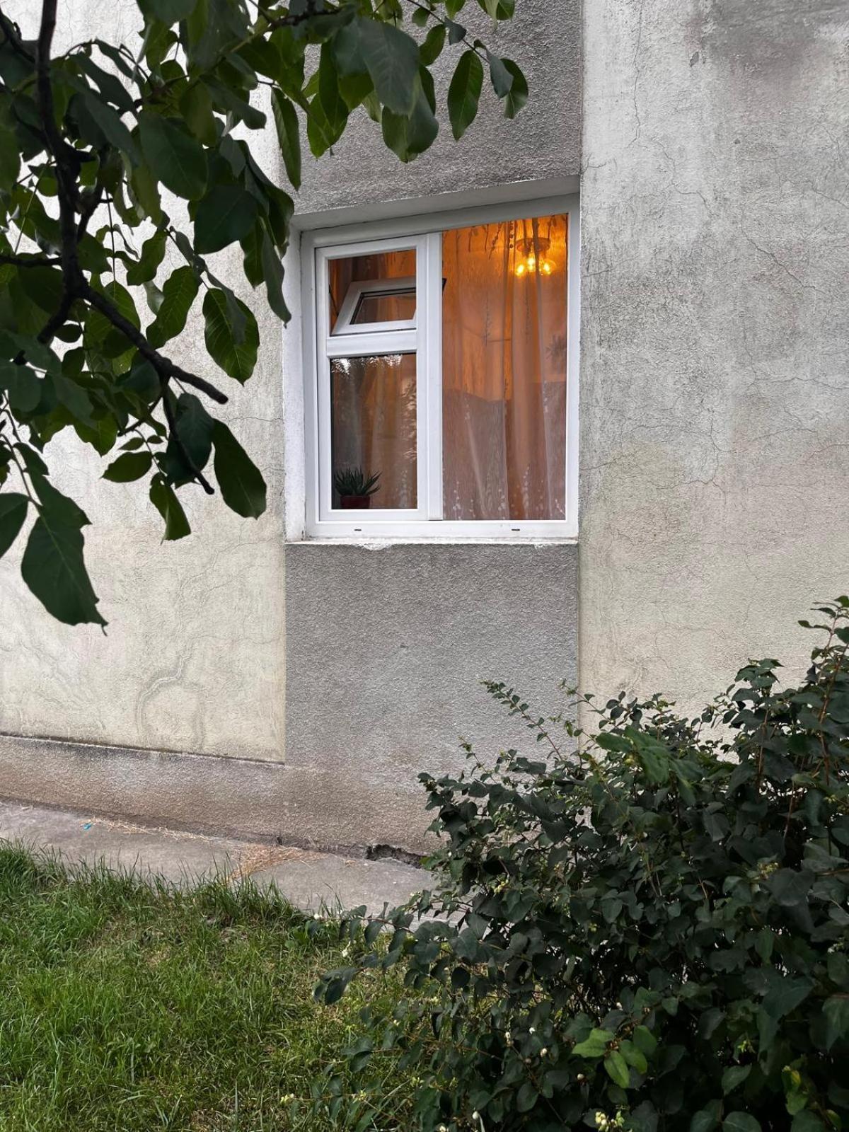 Mimosa Studio Cluj-Napoca Ngoại thất bức ảnh