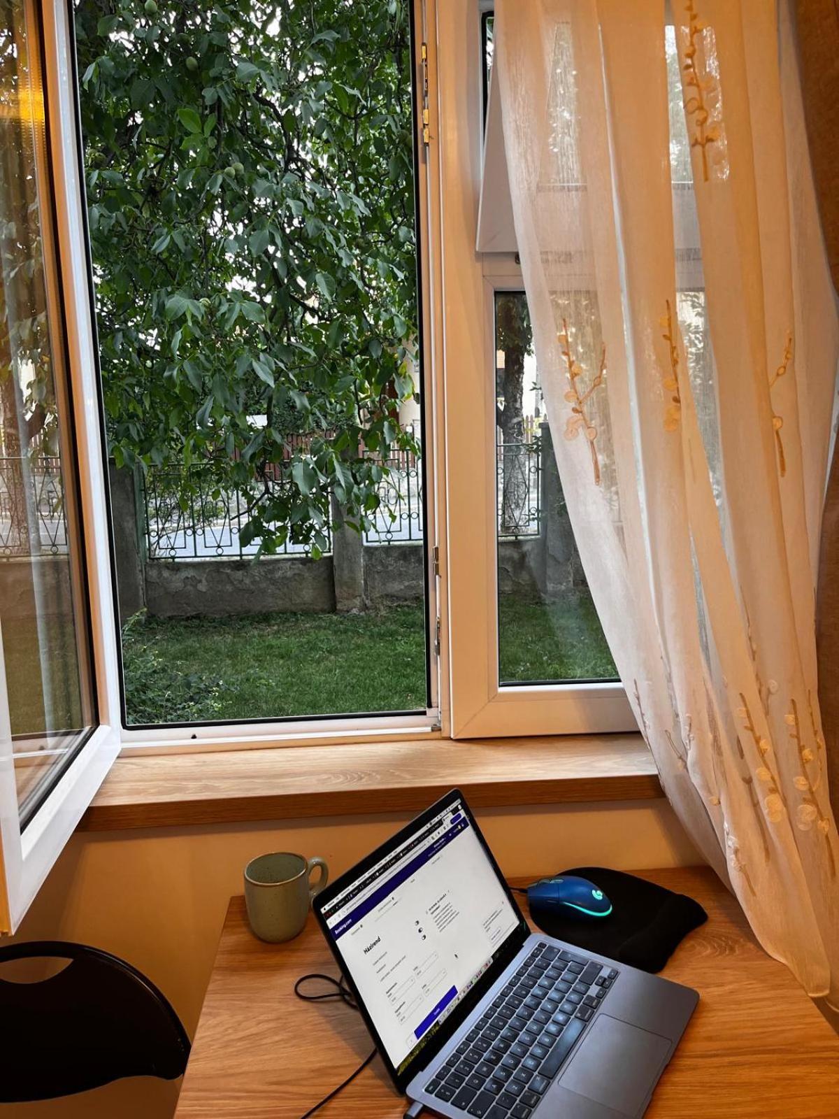 Mimosa Studio Cluj-Napoca Ngoại thất bức ảnh