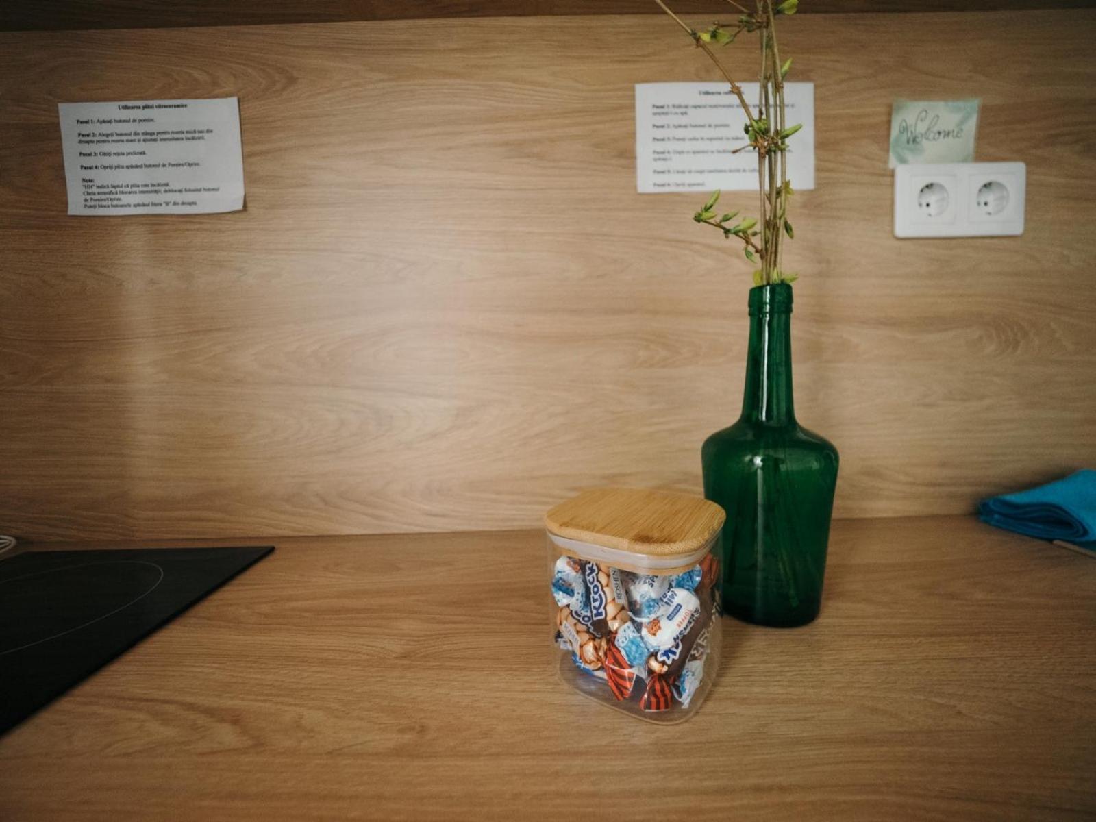 Mimosa Studio Cluj-Napoca Ngoại thất bức ảnh